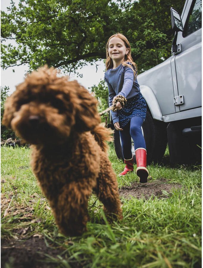 LOOXS Little Meisjes Tops & T-shirts 2532-7401 Multi - Foto 3