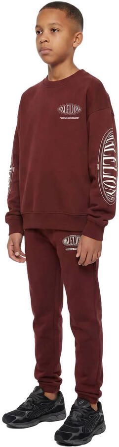 Malelions sweater met backprint donkerrood