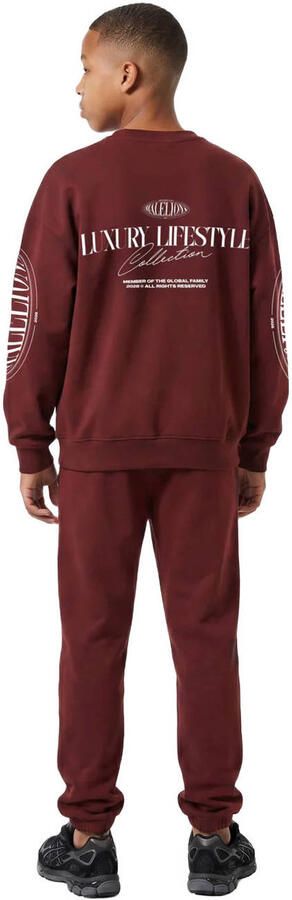 Malelions sweater met backprint donkerrood - Foto 2