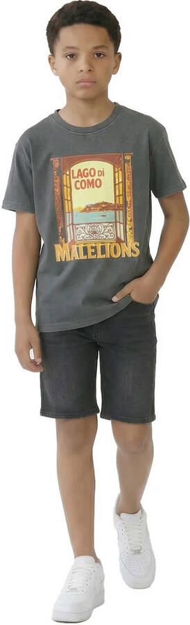Malelions T-shirt grijs