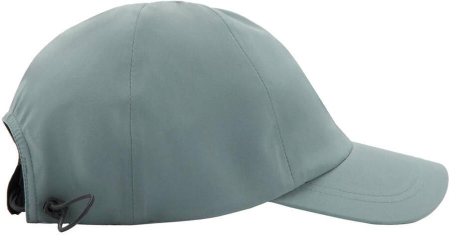 Mango Man pet groen