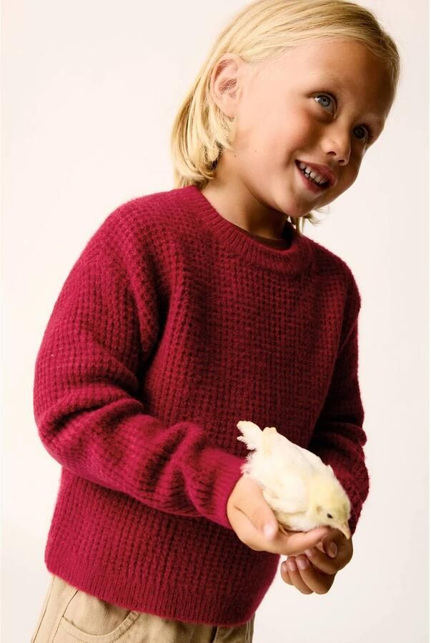 Mango Kids gebreide trui rood Jongens Acryl Ronde hals Effen