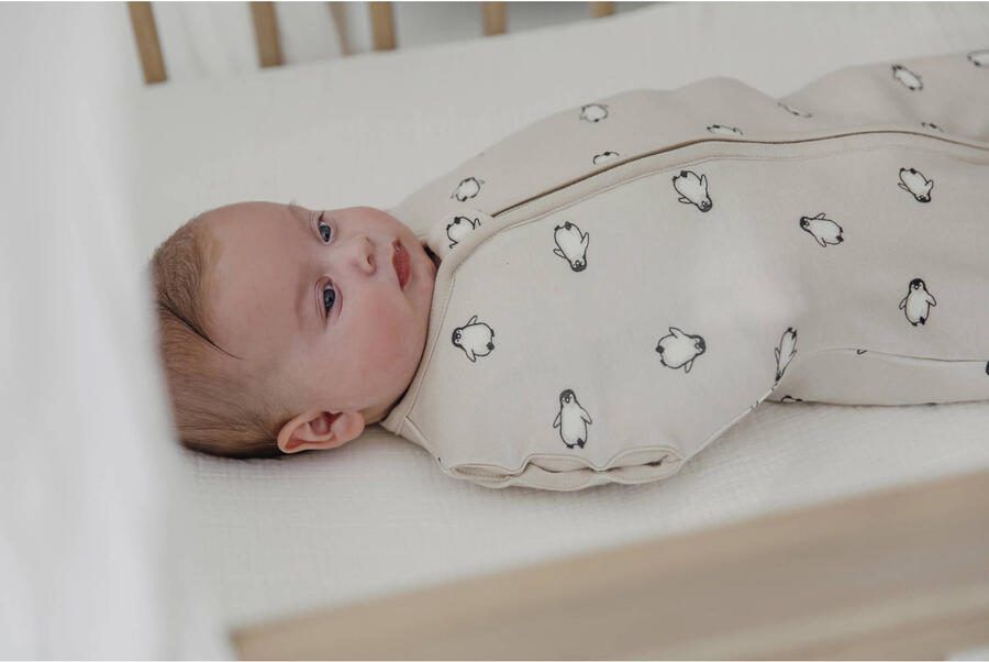 Meyco cocoon inbakerslaapzak Penguin (4-8 maanden) - Foto 3