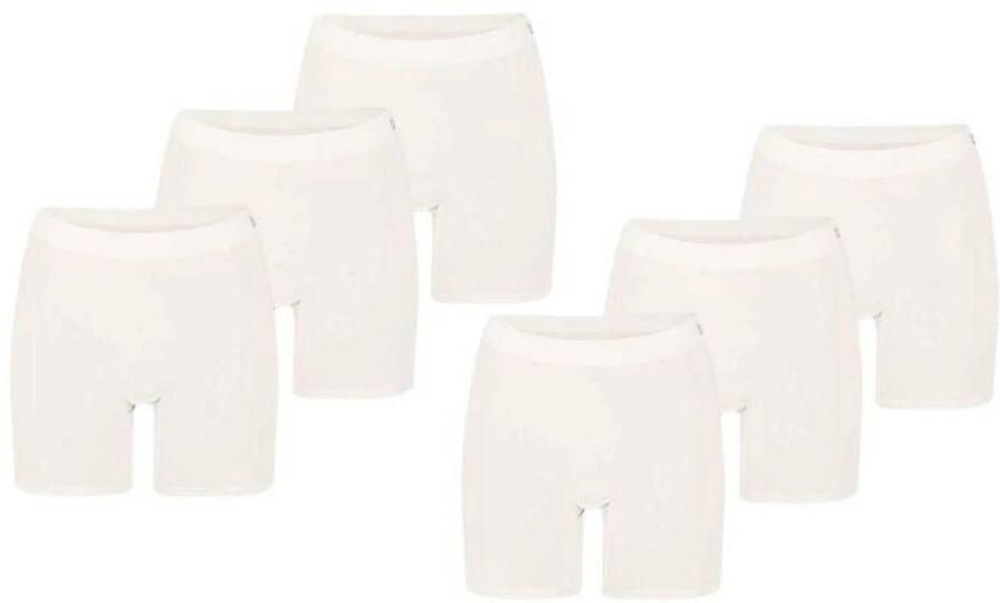 Apollo Bamboe short 6-Pack