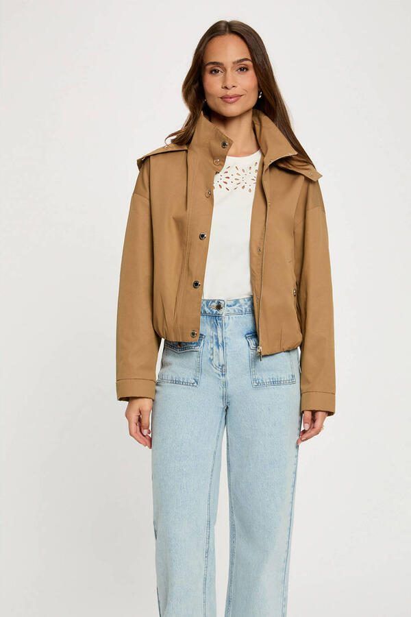 Morgan jack camel