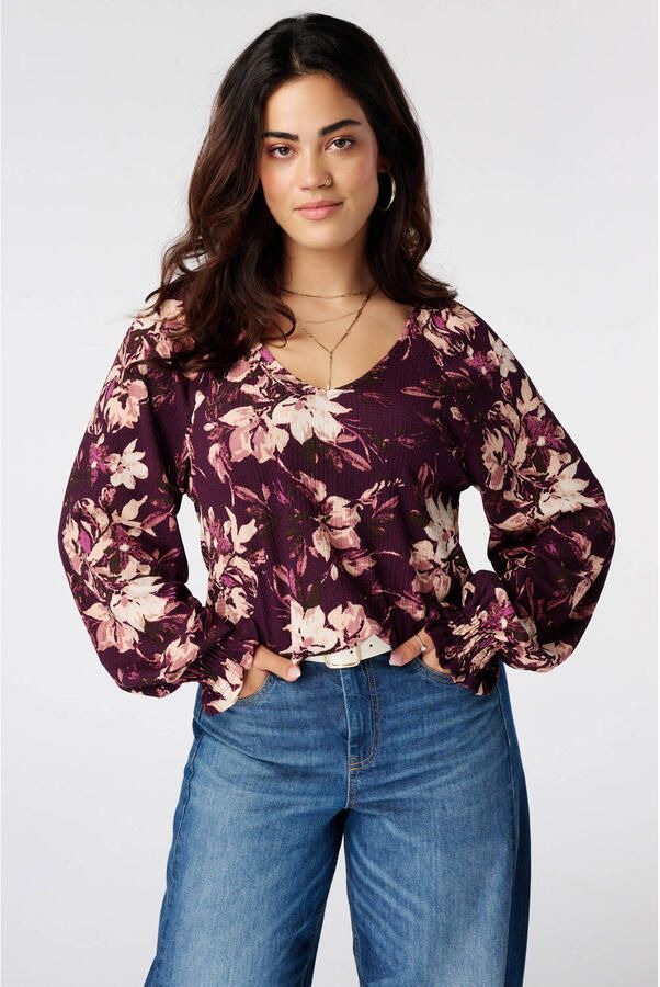 MS Mode Plus Size top met print meerkleurig