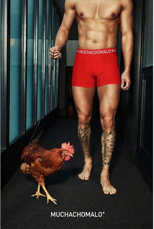 Muchachomalo Boxershorts 3-pack 1322 Zwart Heren - Foto 2