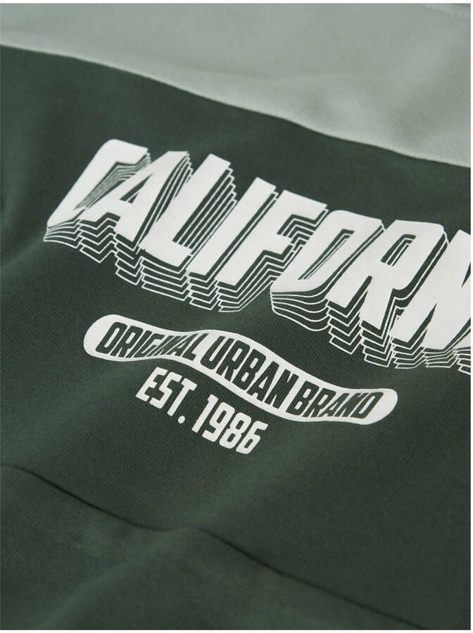 Name It Sweatshirt NKMVEMIL LS NREG SWEAT BRU