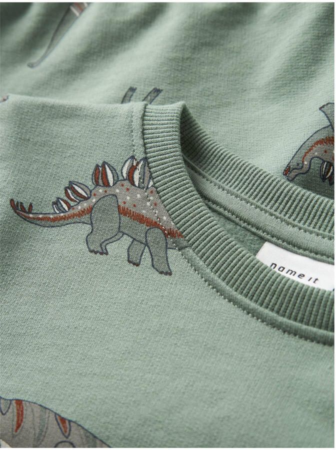 Name It Sweatshirt NMMNENEAN LS SWE BRU PB