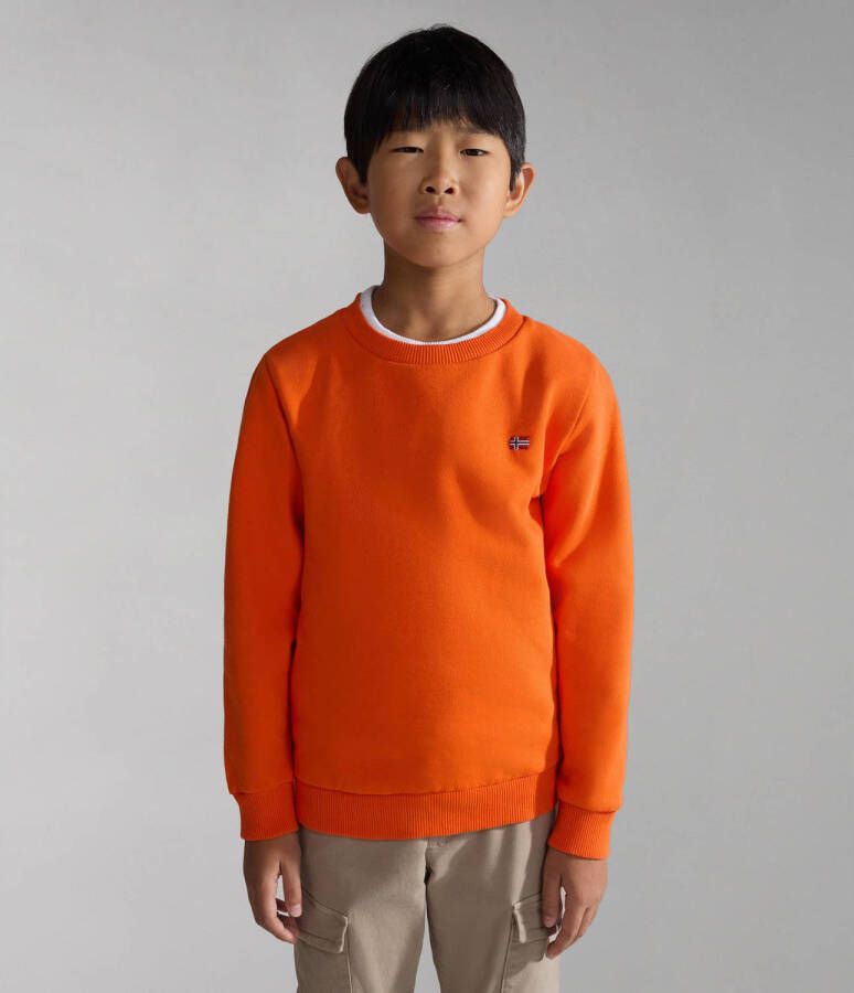 Napapijri sweater K BALIS C 2 oranje Jongens Sweat (duurzaam) Ronde hals 152