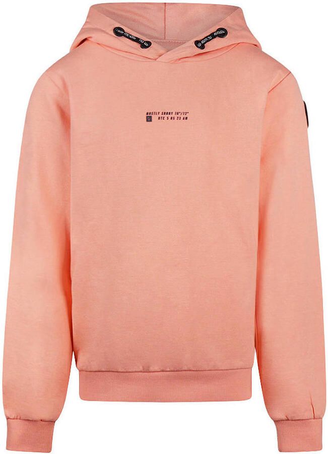 No Way Monday hoodie met backprint roze