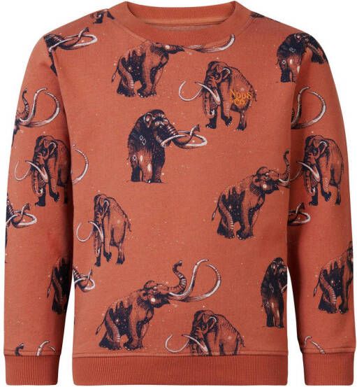 Noppies sweater Westchase met all over print bruin All over print 116
