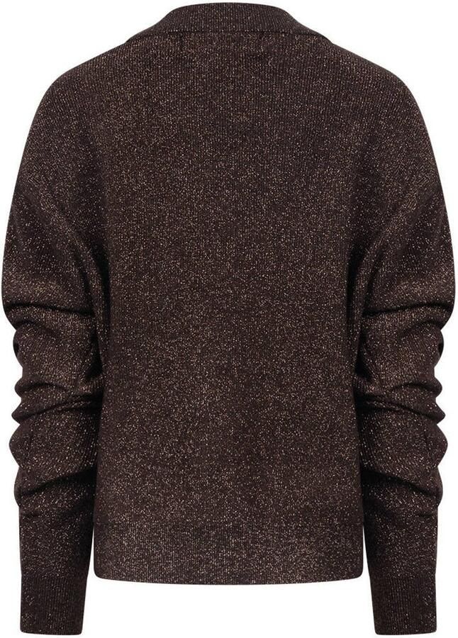 NUKUS gebreid vest met glitters donkerbruin