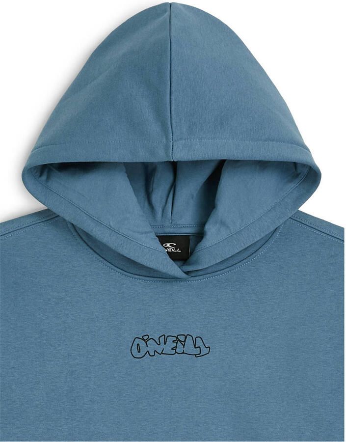 O'Neill hoodie grijsblauw