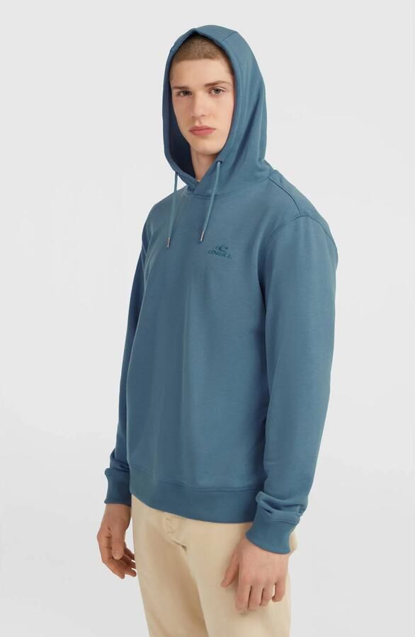 O'Neill hoodie Small Logo grijsblauw