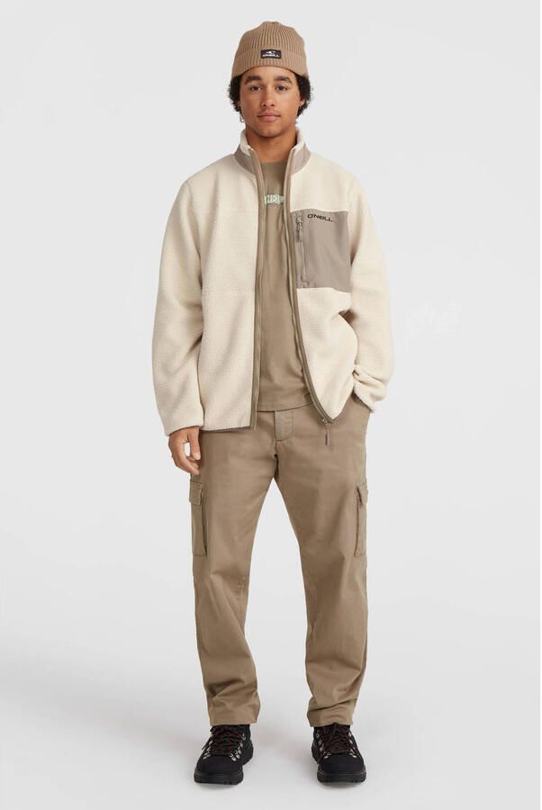 O'Neill Cargobroek ESSENTIALS CARGO PANTS - Foto 1