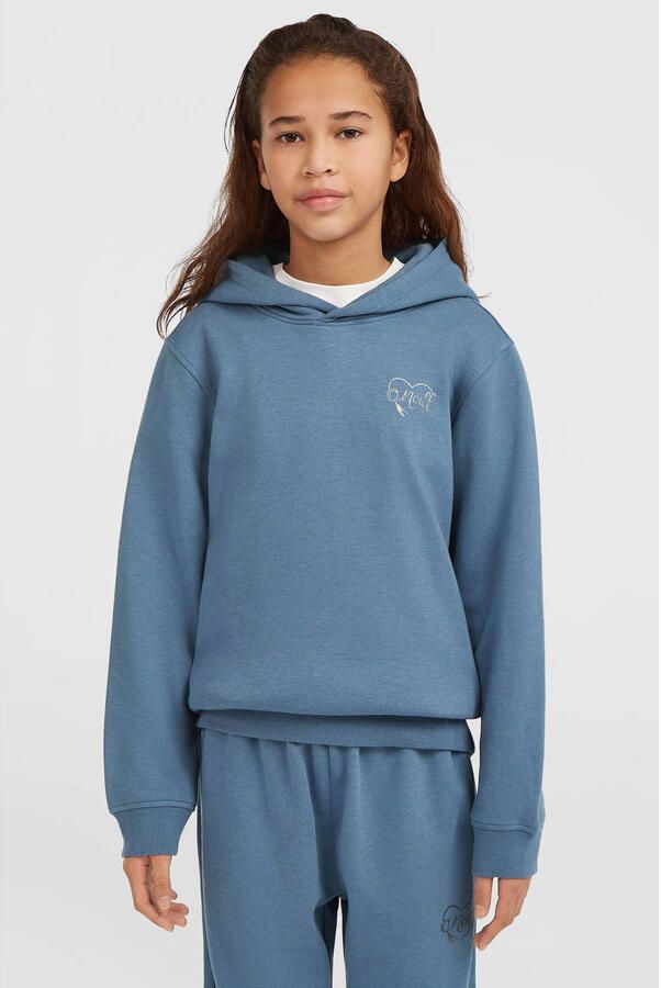 O'Neill sweater grijsblauw