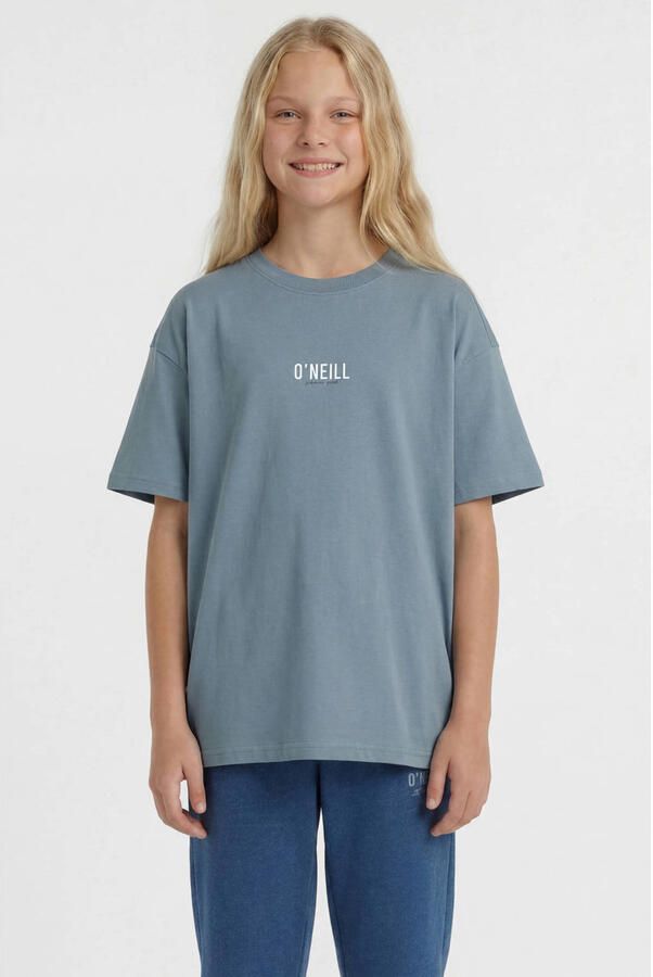 O'Neill T-shirt blauw