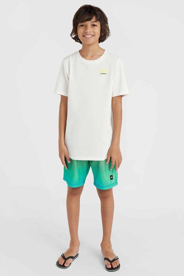 O'Neill T-shirt met backprint wit Jongens Katoen Ronde hals Backprint 128 - Foto 2