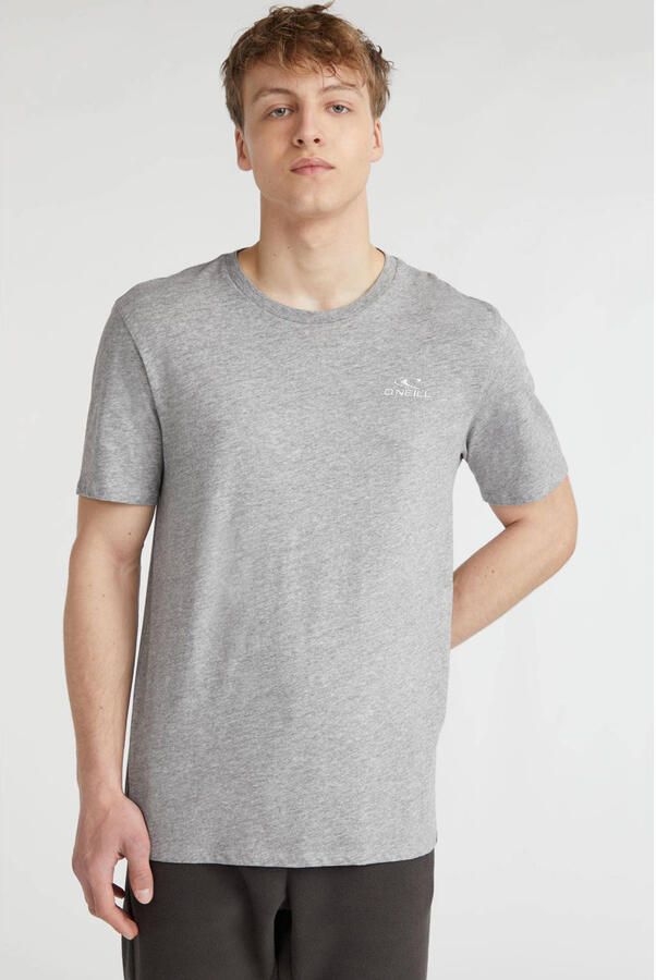 O'Neill Small Logo Shirt Heren