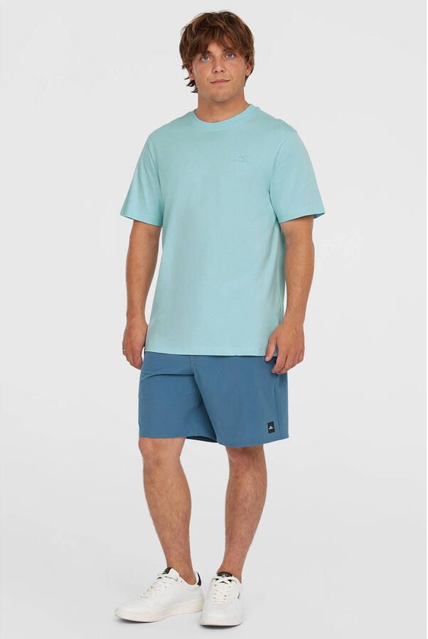 O'Neill T-shirt Small Logo T-Shirt