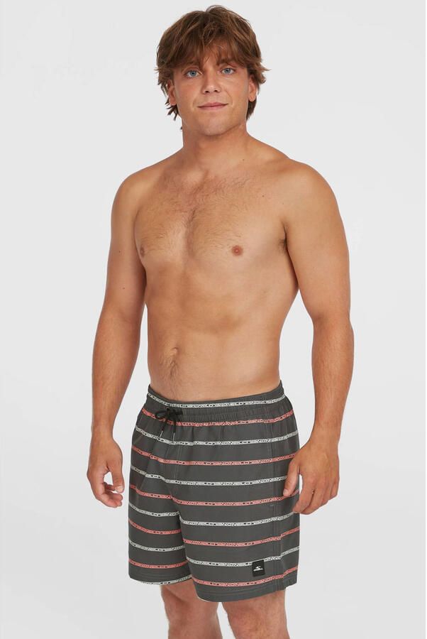 O'Neill Zwembroek CALI FIRST 15'' SWIMSHORTS - Foto 3