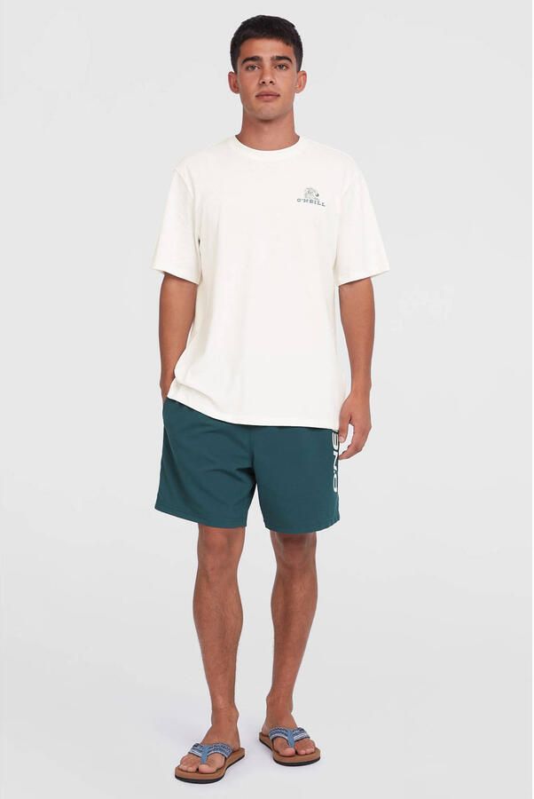 O'Neill Zwembroek CALI 16'' SWIMSHORTS - Foto 3