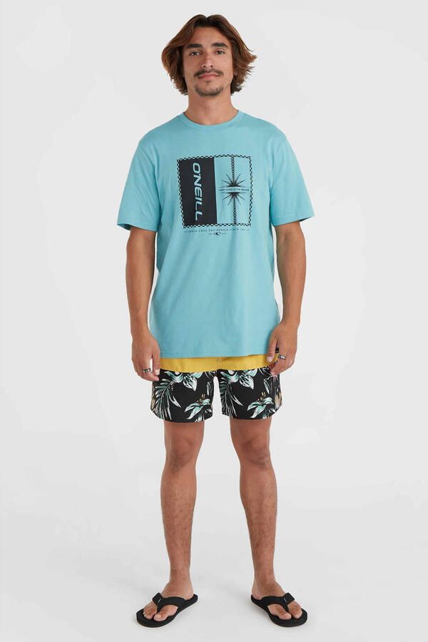 O'Neill Zwembroek Shorts de bain Mix match Cali Block multicolore
