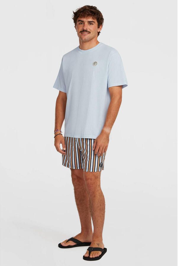 O'Neill zwemshort O'Riginals Stripe 15' lichtblauw donkerblauw - Foto 3