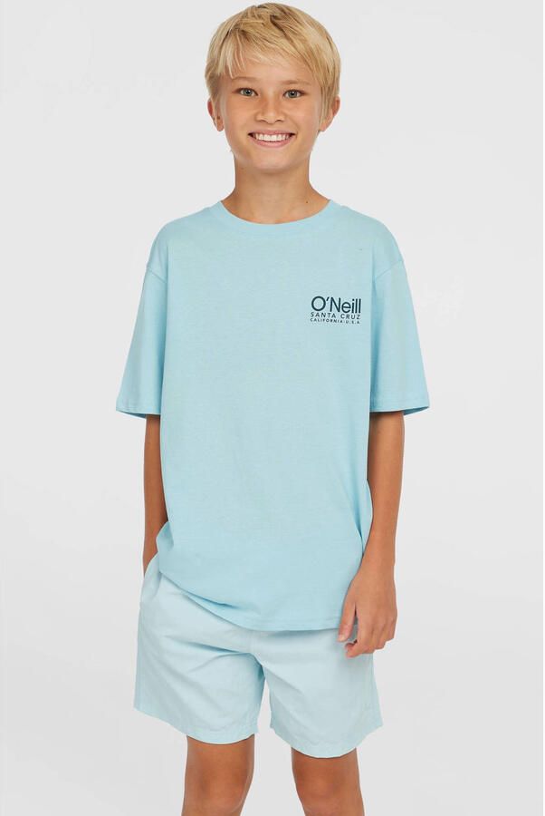 O'Neill Zwemshort VERT 14 SWIMSHORTS - Foto 2