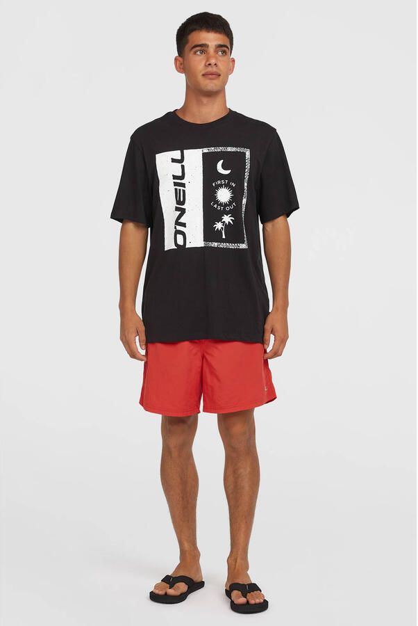 O'Neill Zwemshort VERT 16'' SWIMSHORTS - Foto 2