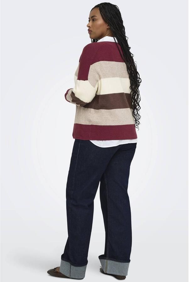 ONLY CARMAKOMA Caratia L S Stripe Pullov Knt Noos Plus Size trui meerkleurig - Foto 3