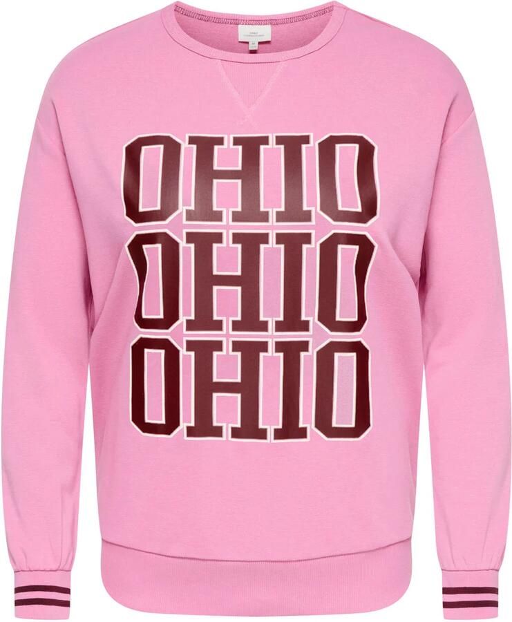 ONLY CARMAKOMA Carbena L S O-Neck Sweat Jrs sweater Plus Size roze