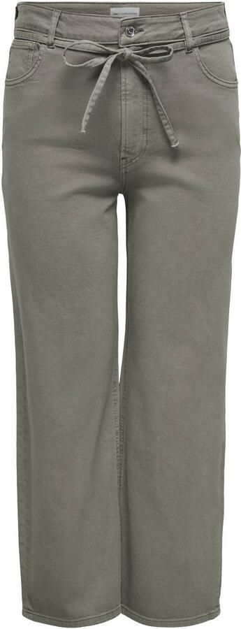 ONLY CARMAKOMA Cargianna Mw Straight Color Dnm Plus Size straight leg jeans groen