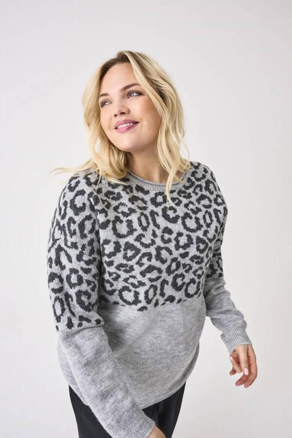 ONLY CARMAKOMA Trui met ronde hals CARJADE ZEBRA L S O-NECK KNT