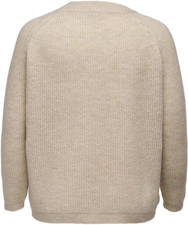 ONLY CARMAKOMA Trui met ronde hals CARJADE L S PULLOVER KNT - Foto 3