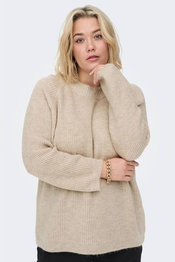 ONLY CARMAKOMA Trui met ronde hals CARJADE L S PULLOVER KNT - Foto 2