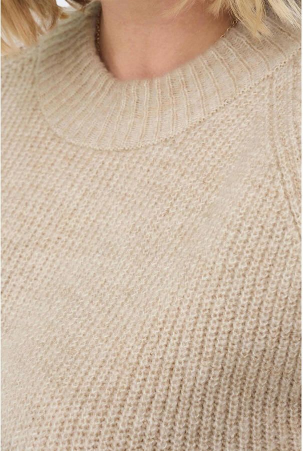 ONLY CARMAKOMA Trui met ronde hals CARJADE L S PULLOVER KNT