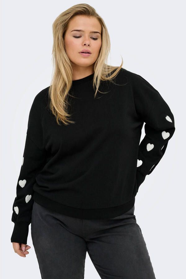 ONLY CARMAKOMA Sweatshirt CARMACY L S O-NECK CC SWT JRS