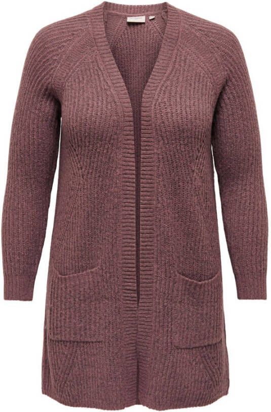 ONLY CARMAKOMA Cardigan CARBERNIE L S CARDIGAN ESS KNT met steekzakken