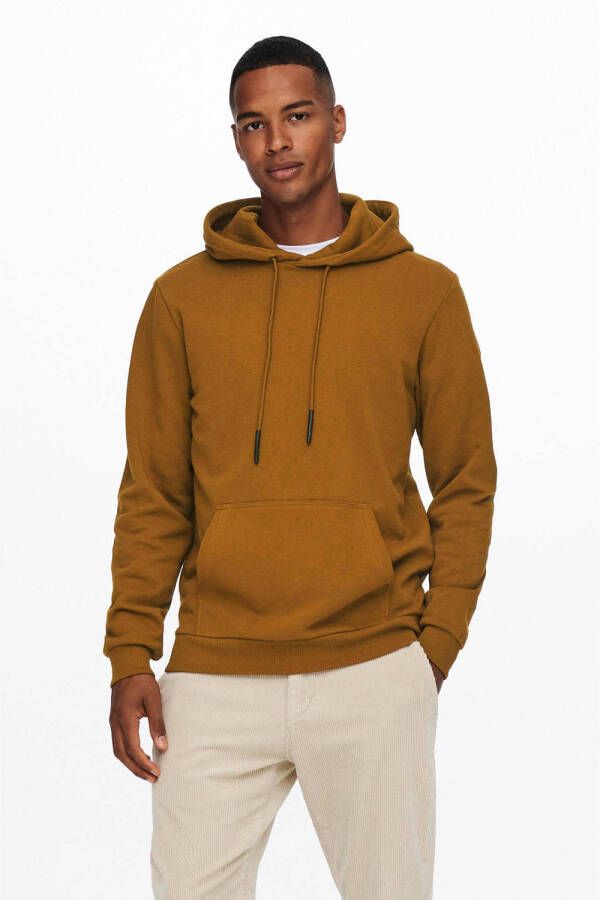 ONLY & SONS hoodie ONSCERES bruin