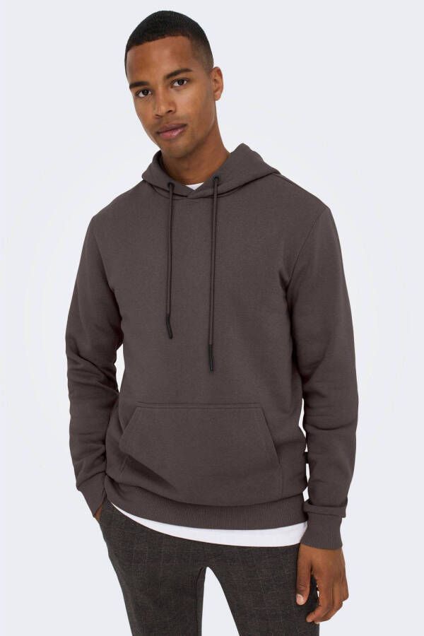 ONLY & SONS hoodie ONSCERES LIFE seal brown