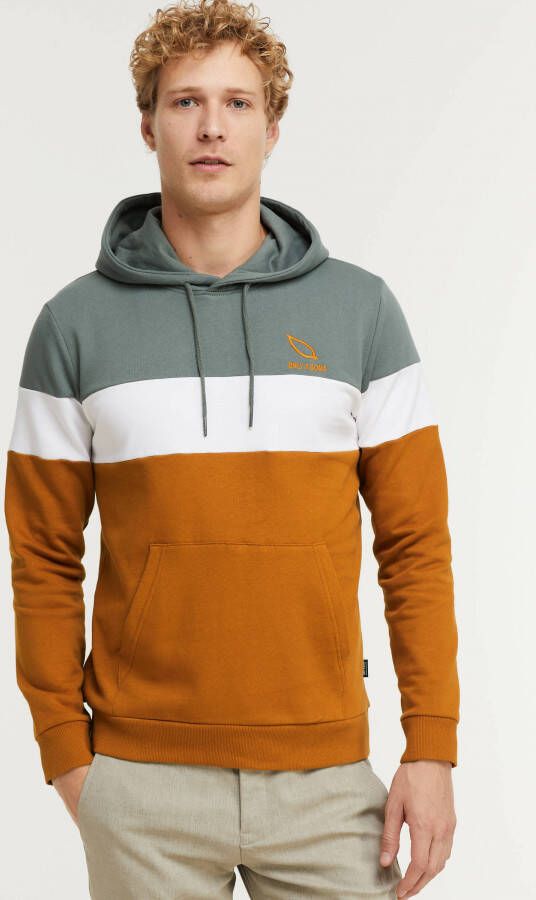 ONLY & SONS hoodie ONSLUKE balsam green