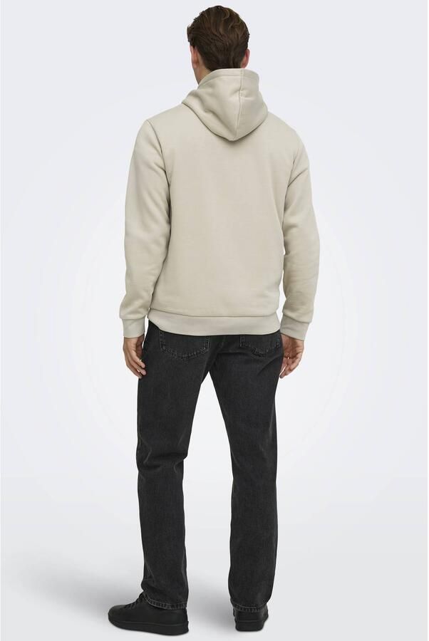 Only & Sons Sweater Only & Sons ONSCERES HOODIE SWEAT NOOS