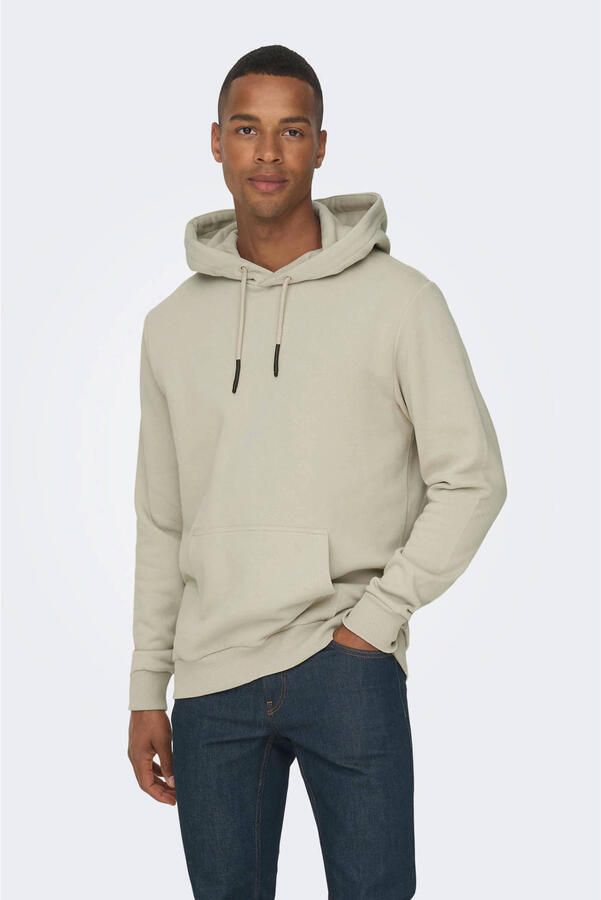 Only & Sons Sweater Only & Sons ONSCERES HOODIE SWEAT NOOS