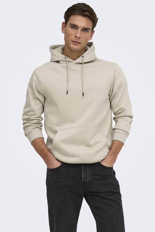 Only & Sons Sweater Only & Sons ONSCERES HOODIE SWEAT NOOS - Foto 2