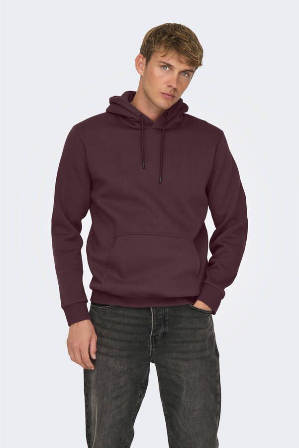 Only & Sons Regular fit hoodie van katoenmix model 'CERES' - Foto 2