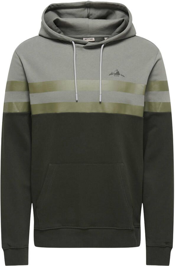 Only & Sons Thor Reg Hoodie Heren