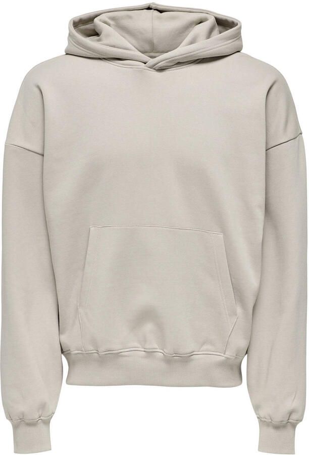 ONLY & SONS Hoodie ONSTURNER LIFE VTG HOODIE SWEAT