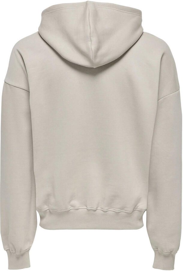ONLY & SONS Hoodie ONSTURNER LIFE VTG HOODIE SWEAT